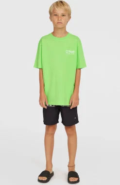 EnfantsShort de bain Cali Stripe 14| Vert
