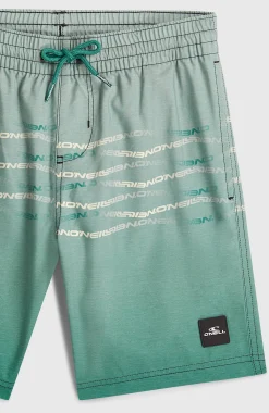 EnfantsShort de bain O'Neill First| Vert Mix