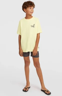 EnfantsShort de bain O'Neill Logo Stripe| Bleu Mix