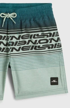 EnfantsShort de bain O'Neill Logo Stripe| Vert Mix