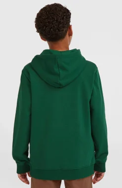 EnfantsSweat à capuche Essentials| Vert