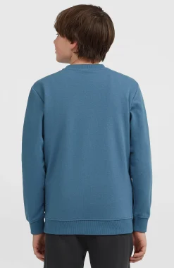 EnfantsSweatshirt à col rond Essentials| Bleu