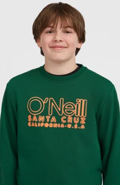 EnfantsSweatshirt à col rond Essentials| Vert