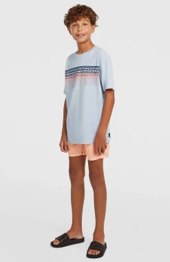 EnfantsT-shirt O'Neill Logo Stripe| Bleu