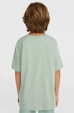 EnfantsT-shirt O'Neill Muir| Vert