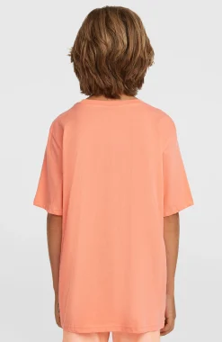 EnfantsT-shirt O'Neill Muir| Orange