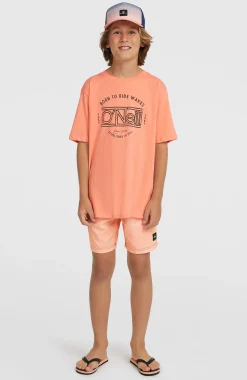 EnfantsT-shirt O'Neill Muir| Orange