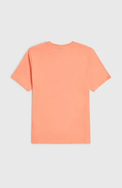 EnfantsT-shirt O'Neill Muir| Orange