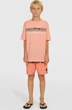 EnfantsT-shirt Stripe| Rose