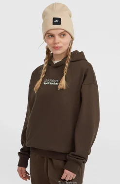 FemmesSweat à capuche Future Surf Society| Brun