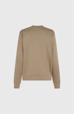 FemmesSweatshirt à col rond Women of the Wave| Brun