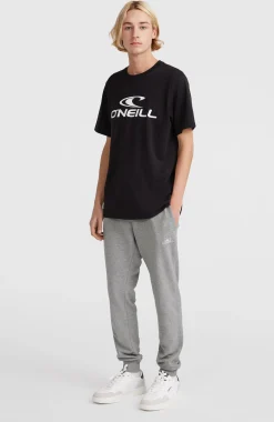 HommesPantalon de survêtement O'Neill Small Logo| Gris