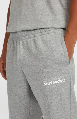 HommesPantalon de survêtement Future Surf Society| Gris