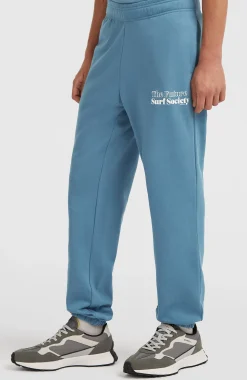HommesPantalon de survêtement Future Surf Society| Bleu