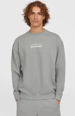 HommesPull Future Surf Society Crew| Gris