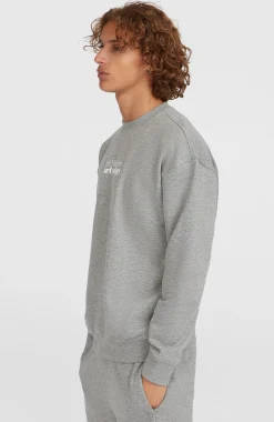 HommesPull Future Surf Society Crew| Gris