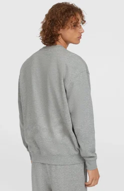 HommesPull Future Surf Society Crew| Gris