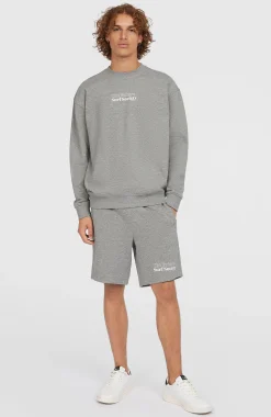 HommesPull Future Surf Society Crew| Gris