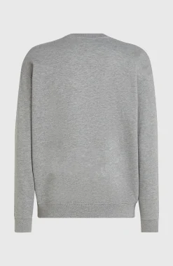 HommesPull Future Surf Society Crew| Gris