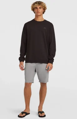 HommesShort cargo O'Neill Essentials Ripstop| Gris