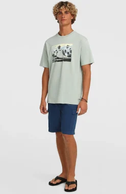 HommesShort cargo O'Neill Essentials Ripstop| Bleu