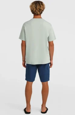 HommesShort cargo O'Neill Essentials Ripstop| Bleu