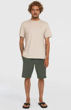 HommesShort chino Hybrid 19| Gris
