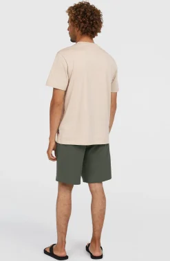 HommesShort chino Hybrid 19| Gris