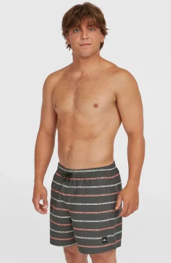 HommesShort de bain Cali First 15''| Gris
