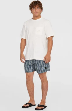 HommesShort de bain Cali Print 15''| Bleu