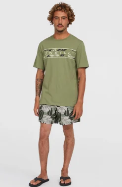 HommesShort de bain Cali Block15''| Vert