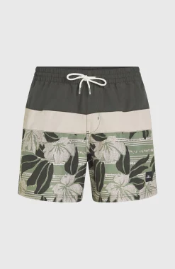 HommesShort de bain Cali Block15''| Vert