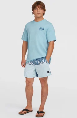 HommesShort de bain Cali Block15''| Bleu
