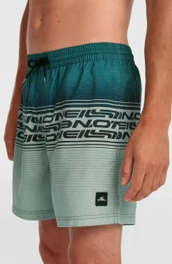 HommesShort de bain Logo Stripe 16''|