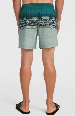 HommesShort de bain Logo Stripe 16''|