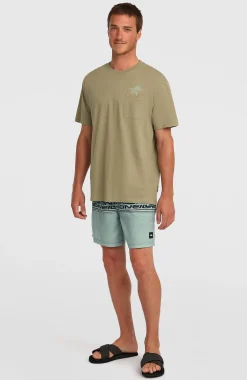 HommesShort de bain Logo Stripe 16''|