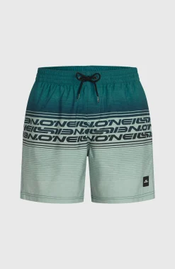 HommesShort de bain Logo Stripe 16''|