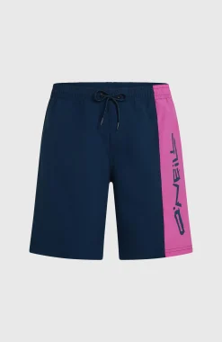 HommesShort de bain O'Neill Retro 19''| Bleu Mix