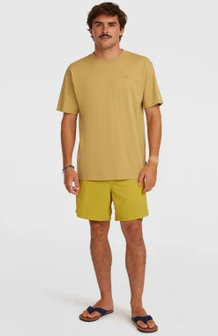 HommesShort de bain O'Neill Vert 16''| Jaune
