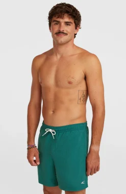 HommesShort de bain O'Neill Vert 16''| Vert