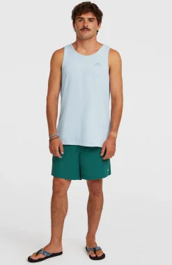 HommesShort de bain O'Neill Vert 16''| Vert
