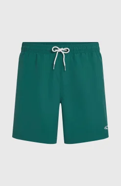 HommesShort de bain O'Neill Vert 16''| Vert