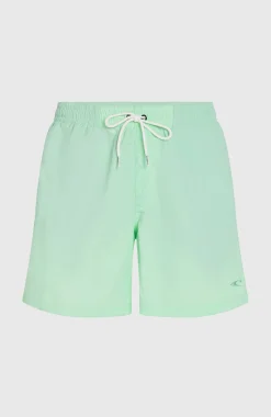 HommesShort de bain O'Neill Vert 16''| Vert
