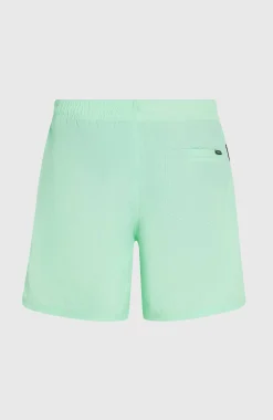 HommesShort de bain O'Neill Vert 16''| Vert