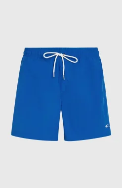 HommesShort de bain O'Neill Vert 16''| Bleu