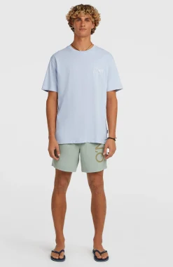 HommesShort de bain O'Neill Cali 16''| Vert