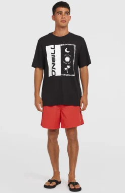 HommesShort de bain O'Neill Vert 16''| Rouge