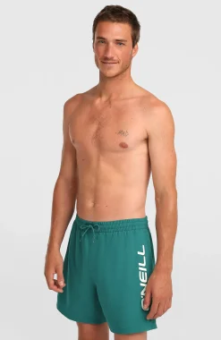 HommesShort de bain O'Neill Logo 16''| Vert