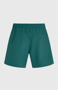 HommesShort de bain O'Neill Logo 16''| Vert