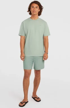 HommesShort de bain O'Neill Vert 16''| Vert